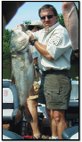 asian carp